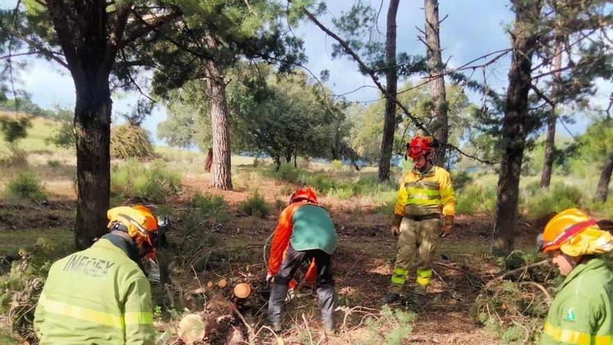 Medios aéreos y terrestres del Infoex trabajan en la extinción de un incendio forestal en Nuñomoral