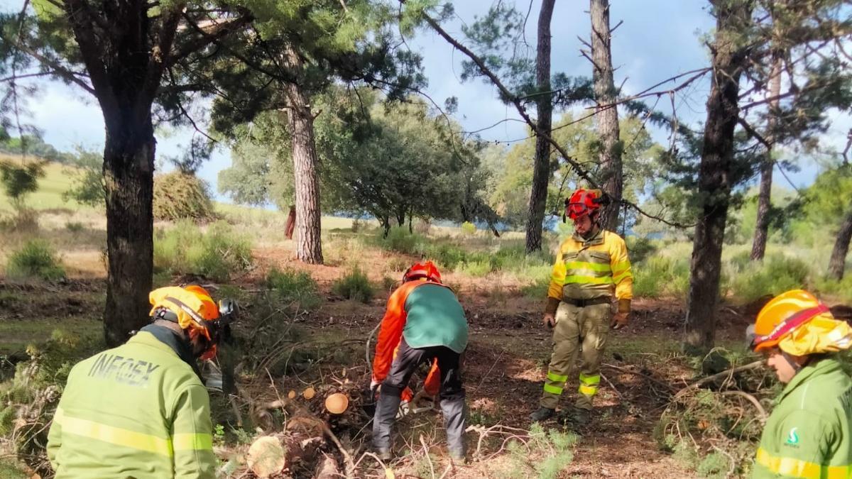 Bomberos forestales del Plan Infoex.