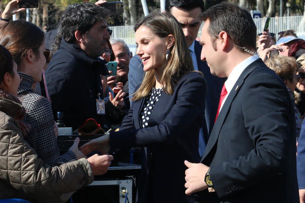 Los Reyes de España presiden la entrega de las distinciones que otorga el Ministerio de Cultura, correspondientes a 2016. José Coronado, Ricardo Darín, El Julio, Pedro Subijana o el Orfeón Donostiarra, entre los premiados.