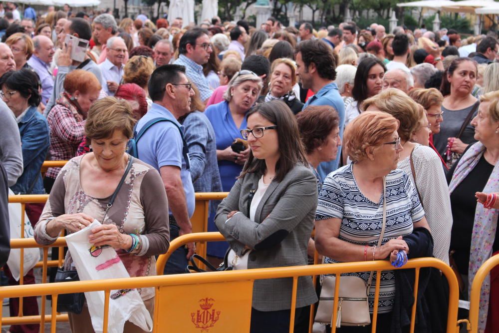 Besamanos a la Virgen de los Desamparados