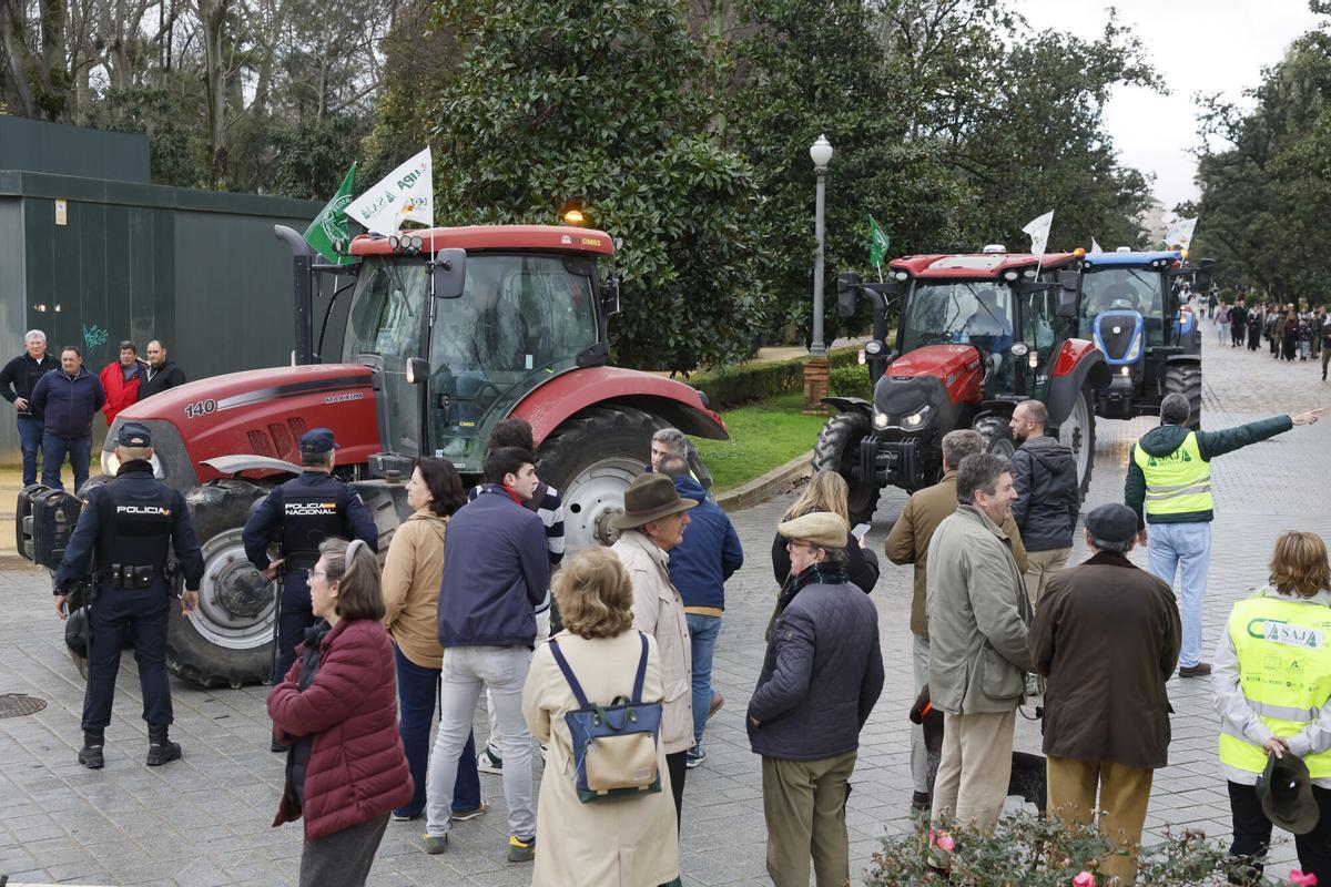 Varios tractores llegan a la Plaza de España de Sevilla, este martes. Varios tractores llegan a la Plaza de España de Sevilla, este martes.