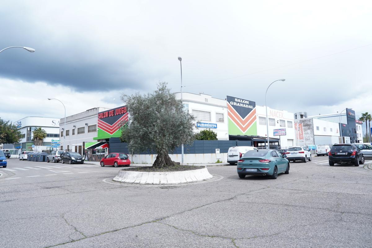 Empresas en el polígono industrial de El Granadal.