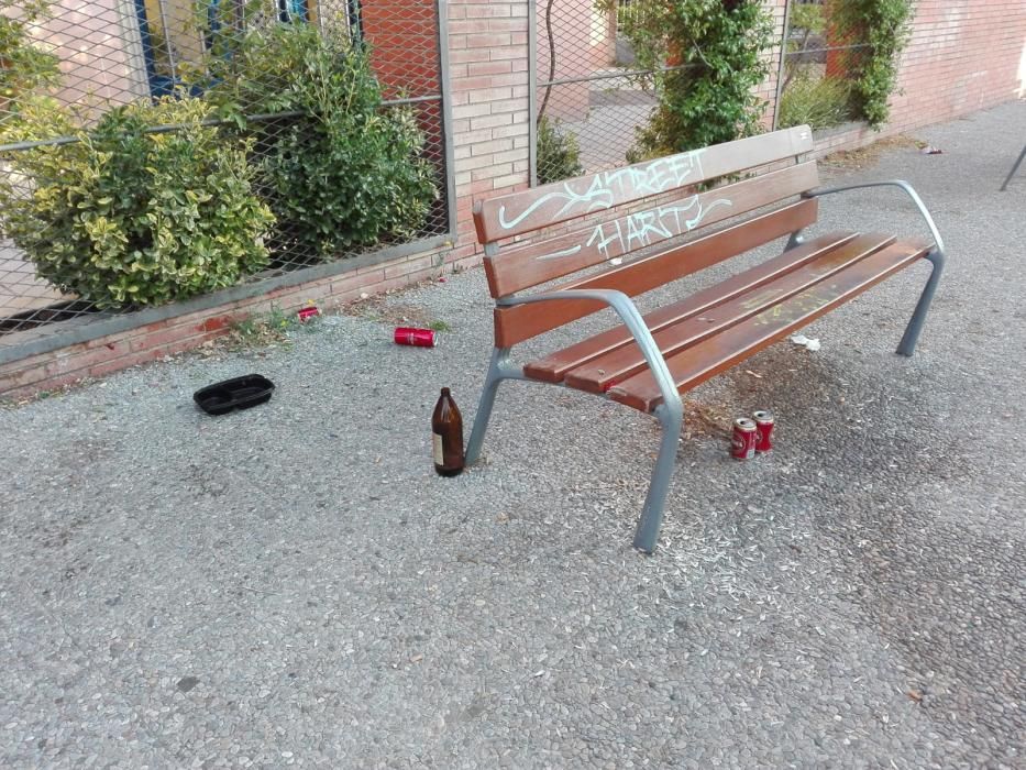 Brutícia a l'entorn del Parc Central de Girona