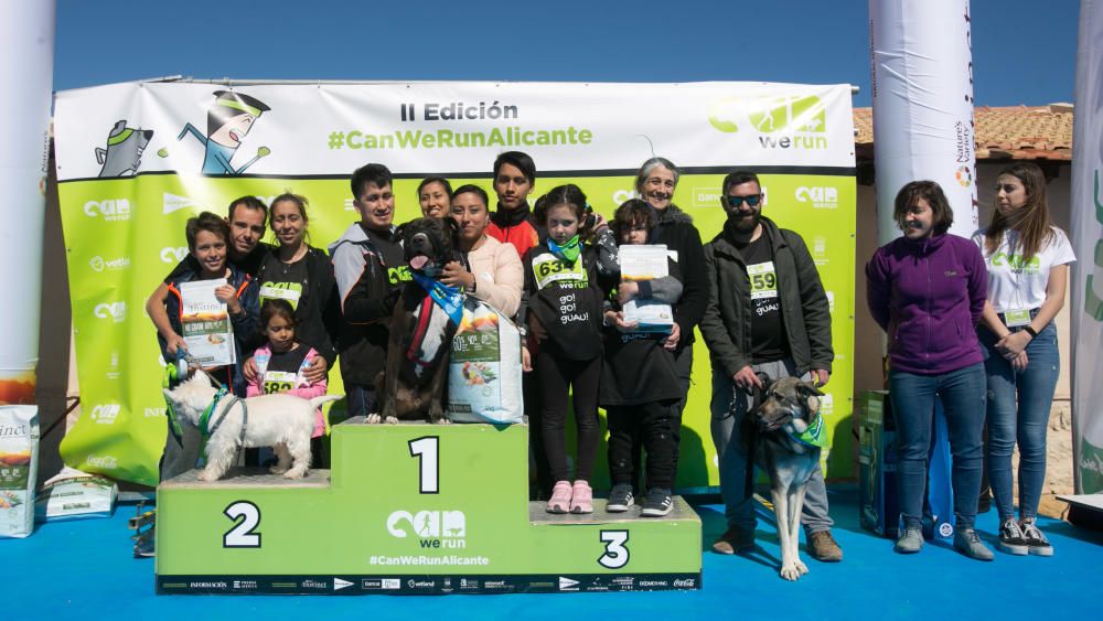 Can We Run: Gran carrera de perros para la concienciación animal