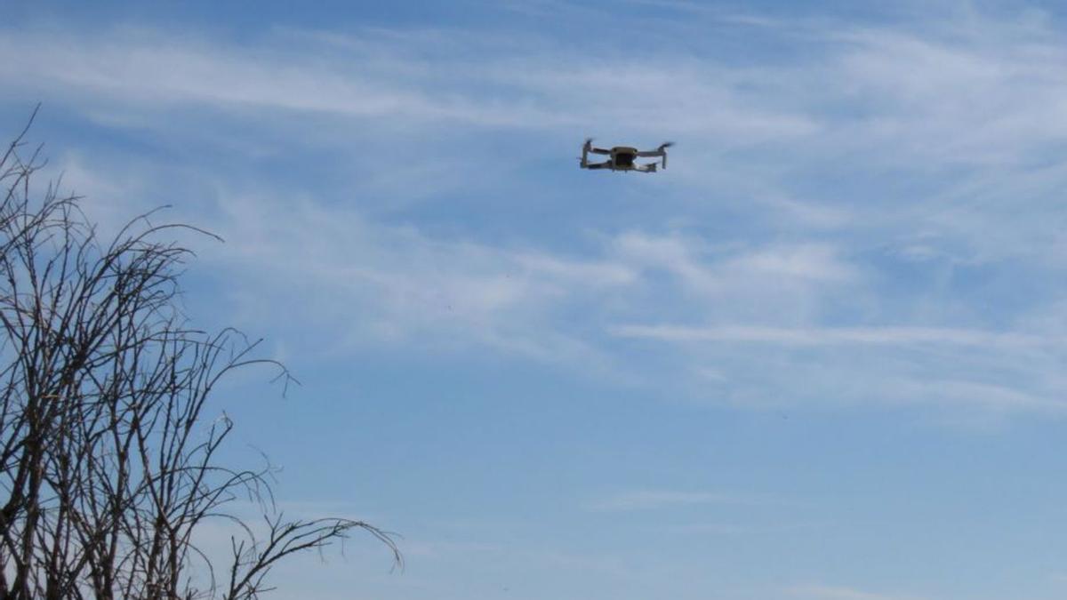 Un dron, volando cerca de un ave.