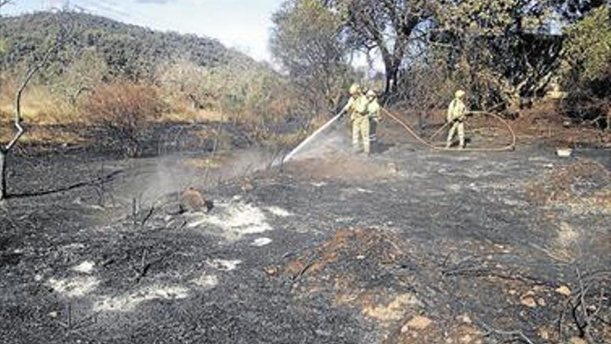 Los bomberos evitan un incendio en la Pobla a los pies del Desert