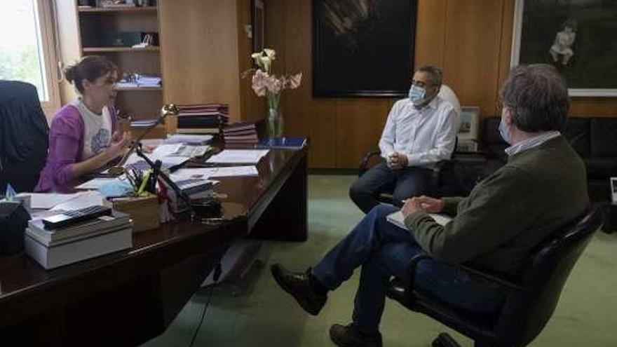 Clara San Damián, Jesús Palacios y Manuel Moreno ayer durante la reunión telemática con Galende.