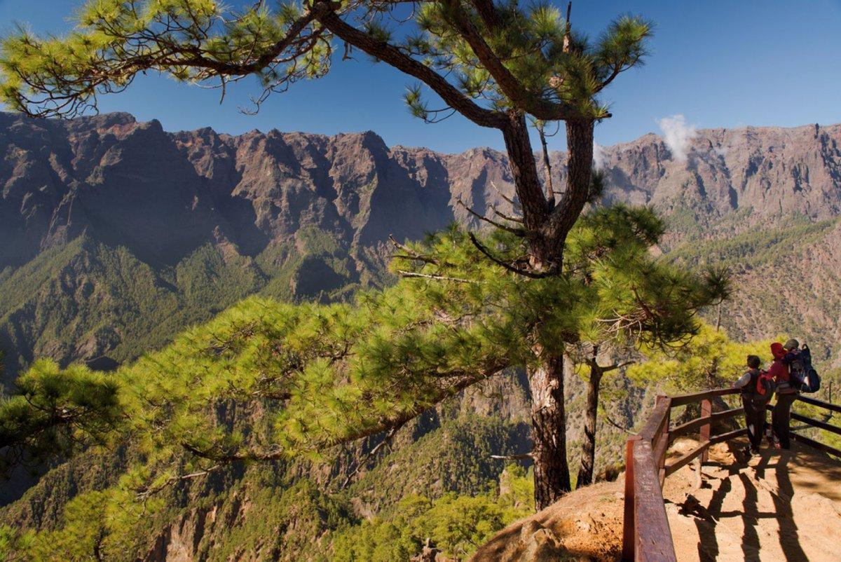 Parque natural de Canarias