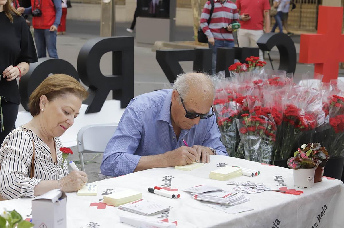 La campaña de Cruz Roja claveles por un trabajo igualitario, en imágenes