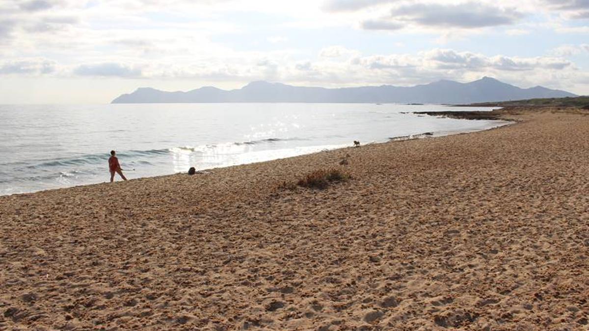 Imagen de la playa de na Patana, en Santa Margalida.