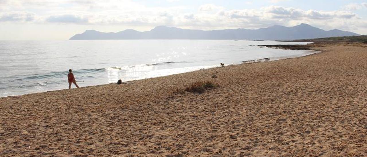 Imagen de la playa de na Patana, en Santa Margalida.