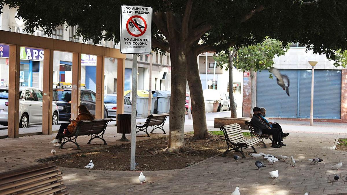 Una de las plazas, junto a l’Algeps donde está el cartel contra la alimentación de las palomas.