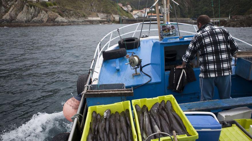 La UE rechaza frenar el veto a la pesca de fondo que afecta a la bajura asturiana