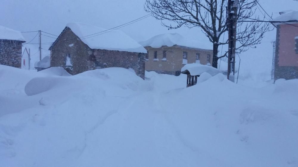 Así luce Somiedo bajo un manto de nieve