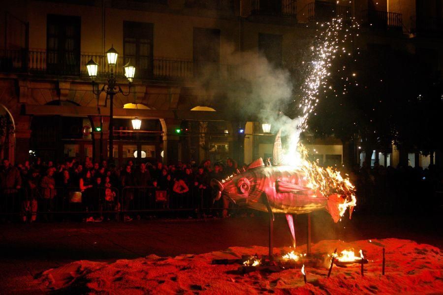 Entierro de la sardina en Zamora