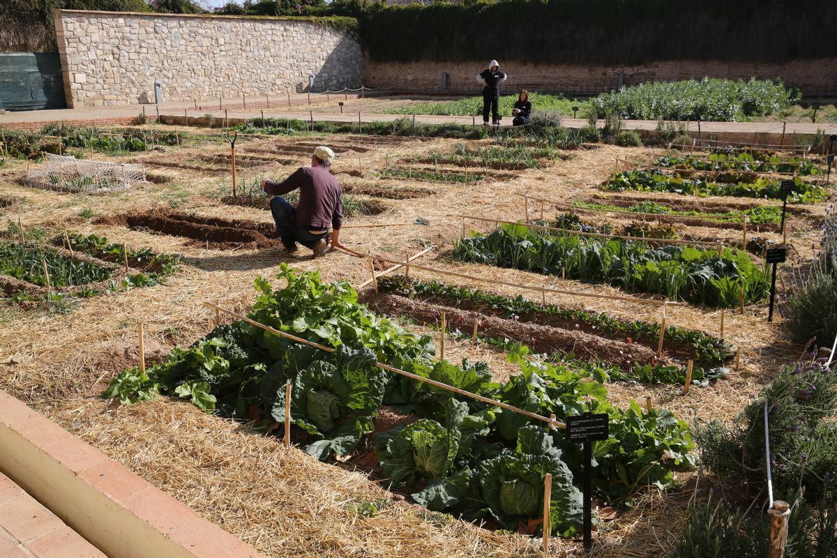 Tradicional visita de la Corporació Municipal a la Comunitat de Monges Clarisses al Reial Monestir de Santa María de Pedralbes