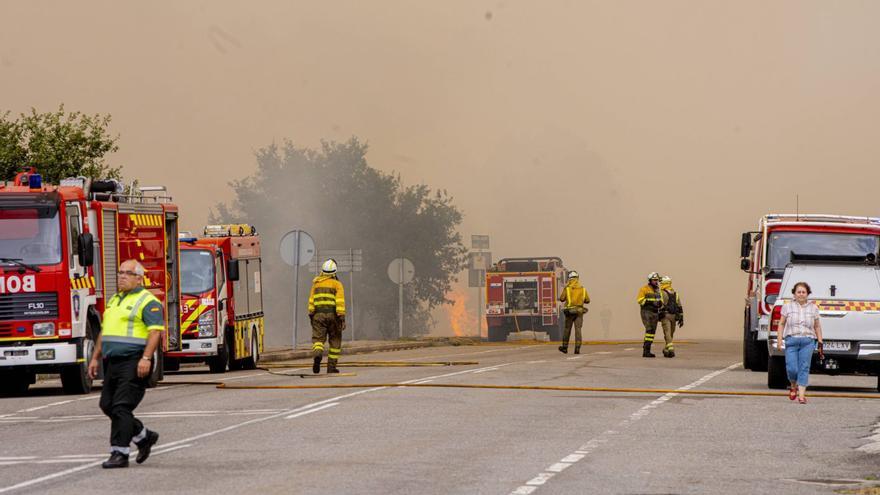 Los incendios arrasaron 927 hectáreas, la tercera cifra más alta desde 2007