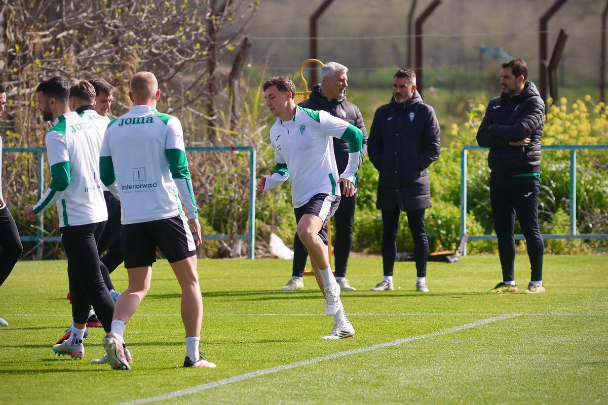 Lance de una sesión de trabajo del Córdoba CF de esta semana en la Ciudad Deportiva.