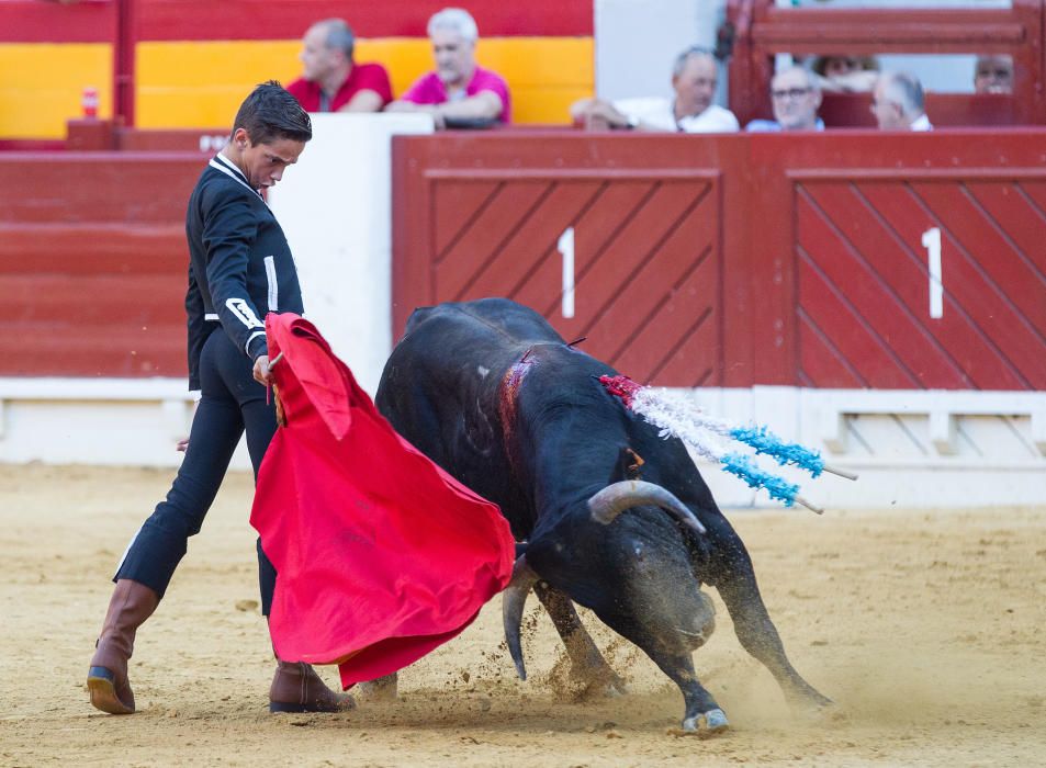 Fervor por los nuevos valores en la becerrada de la feria de San Juan