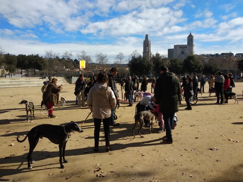 Manifestació contra la caça a Girona