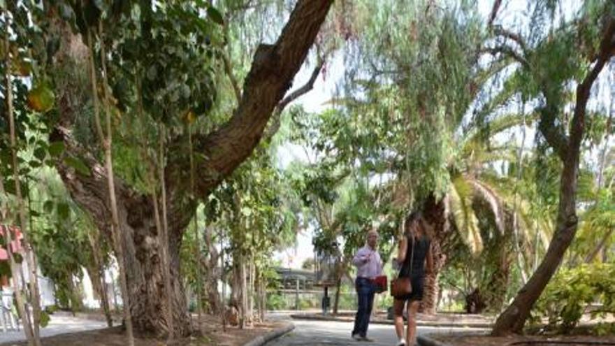 Roque de Gando denuncia desperfectos en el Parque Urbano de San Juan