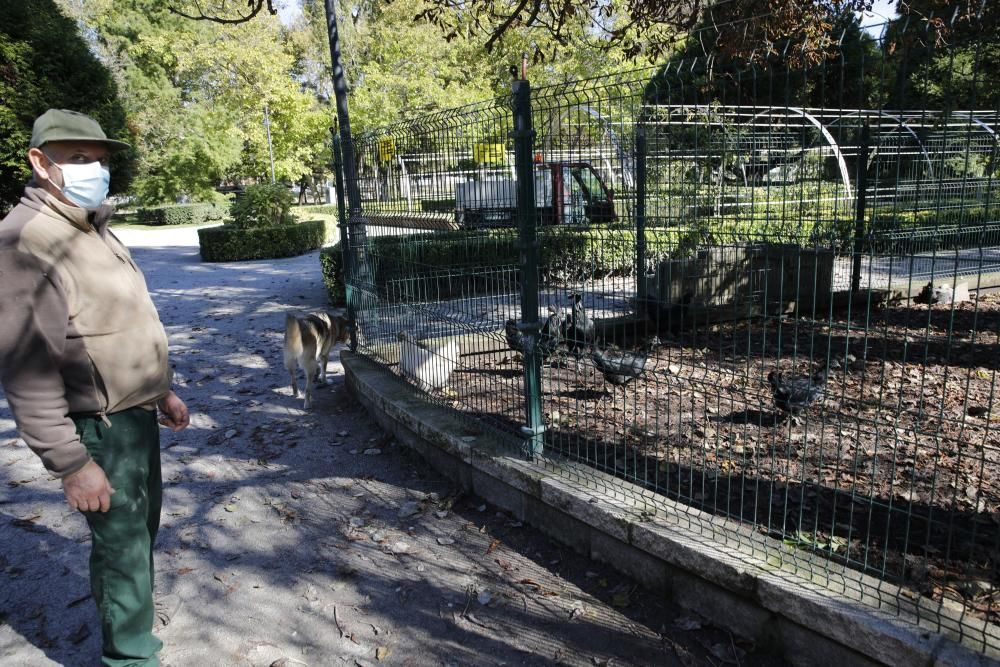 El parque Isabel la Católica supera las 600 aves