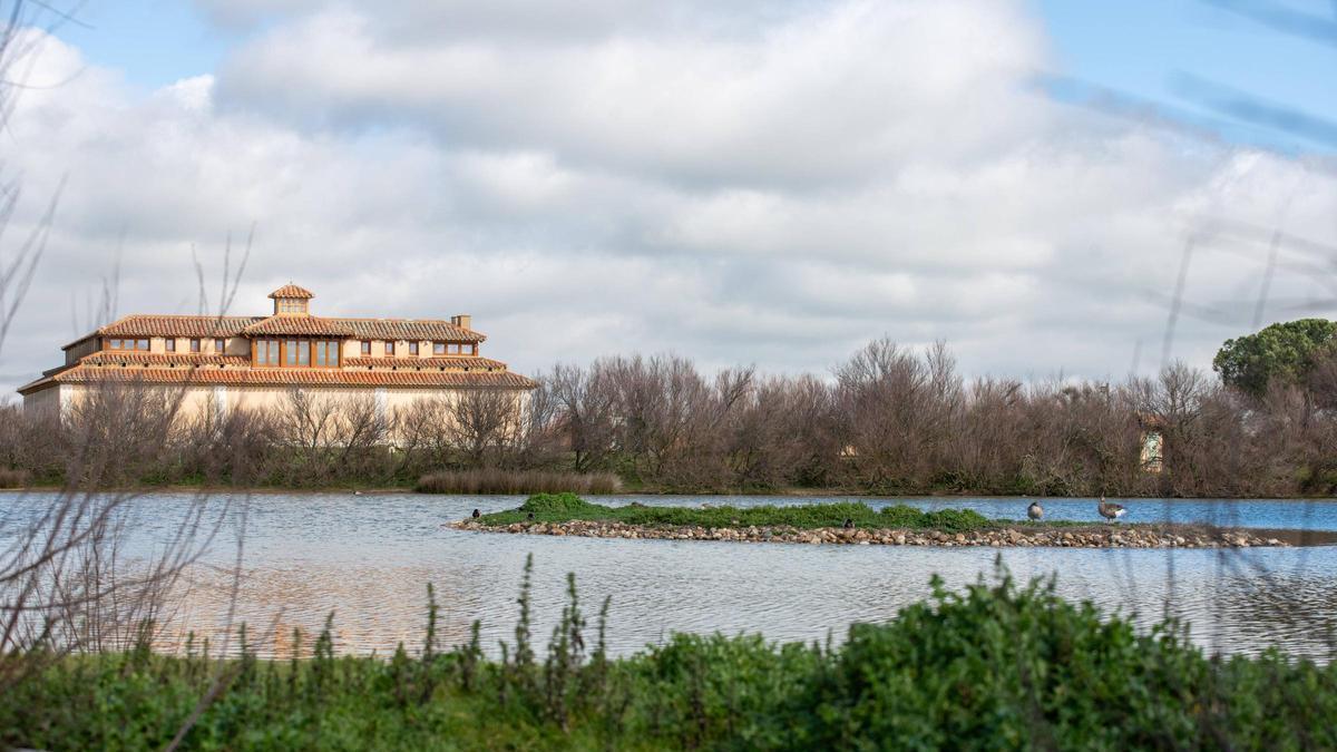 Aves en las Lagunas de Villafáfila y la Casa del Parque al fondo.