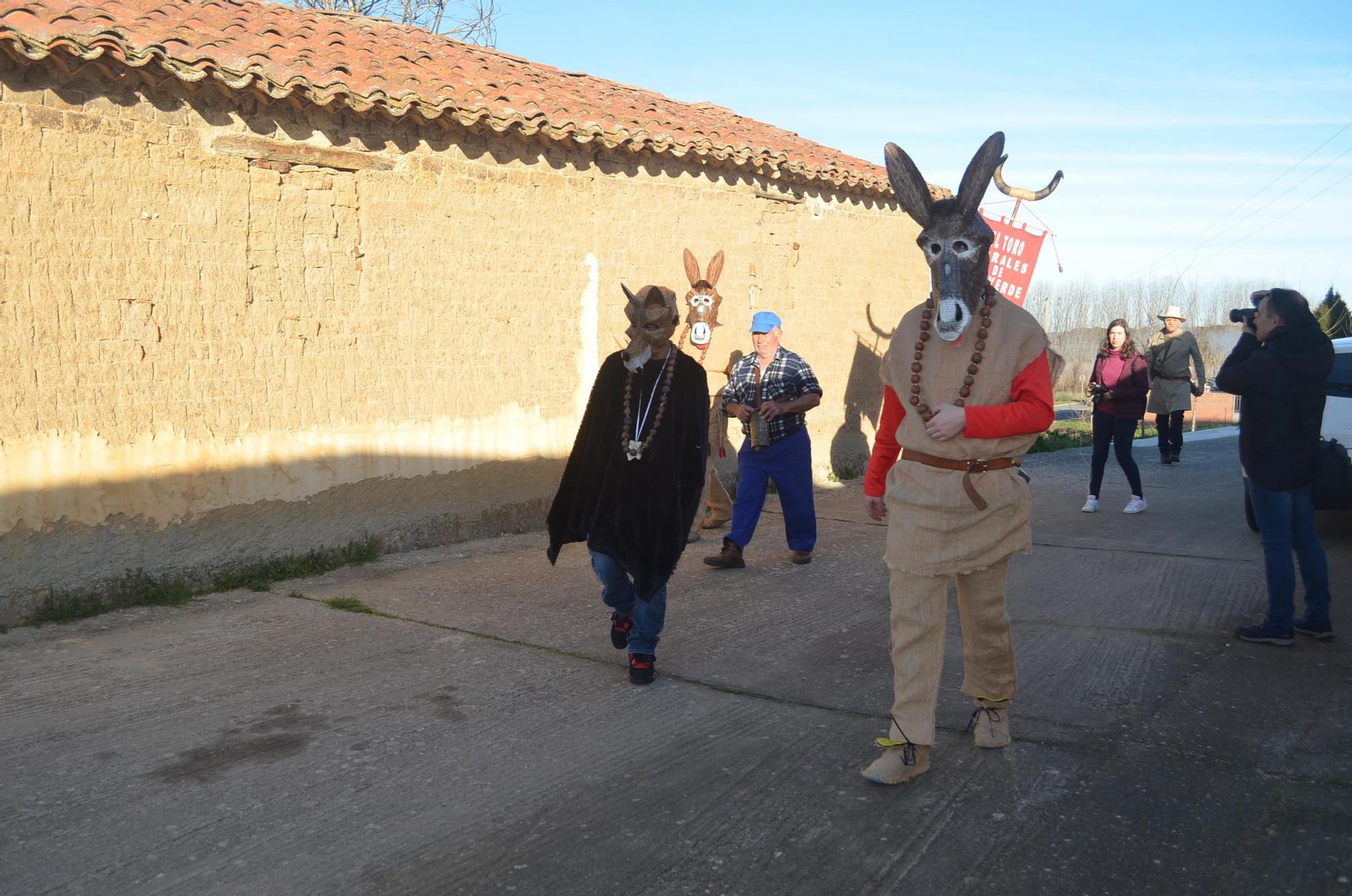 GALERÍA | Morales de Valverde y su Toro de Carnaval