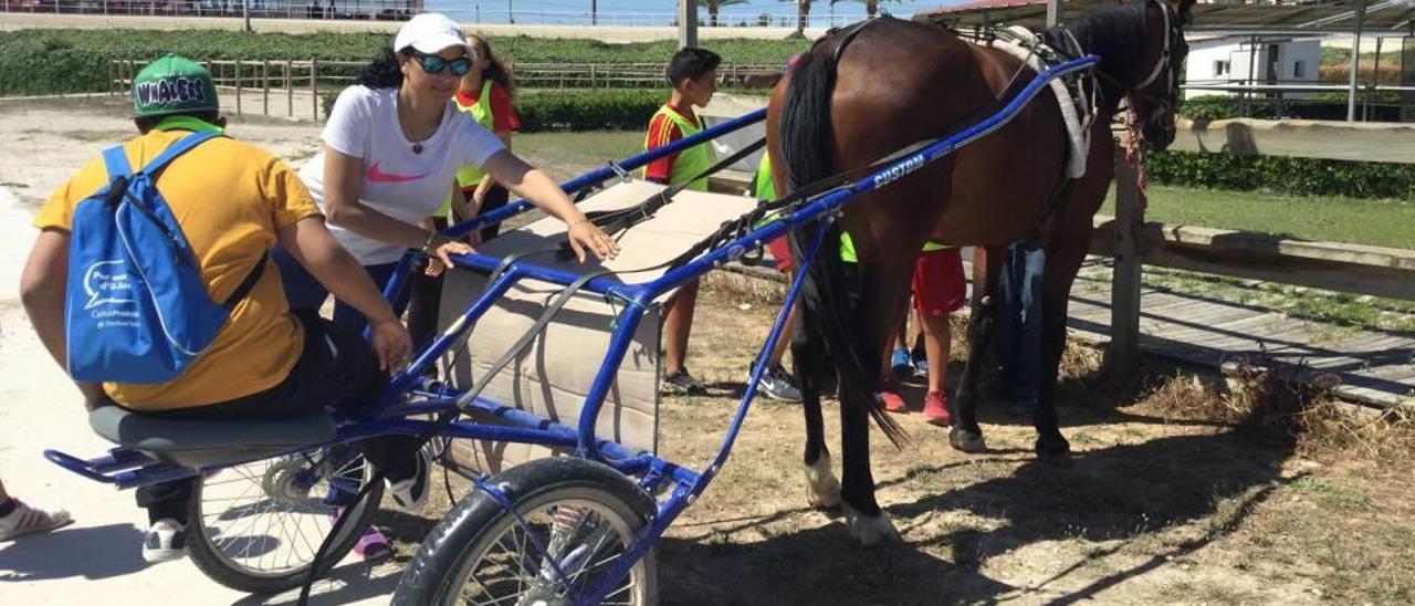 El trot va ser un dels protagonistes de la diada.