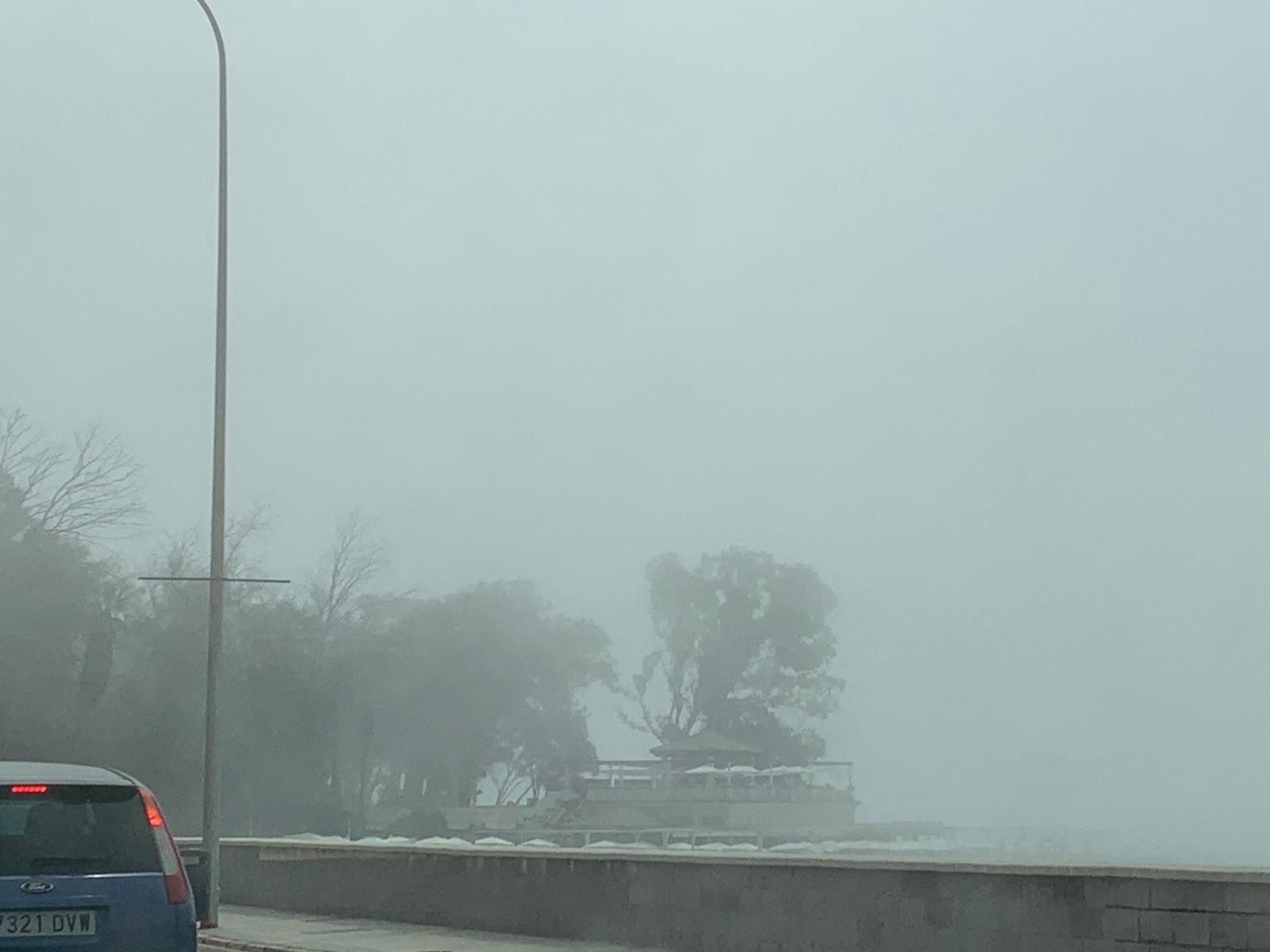 Domingo de taró en el litoral malagueño