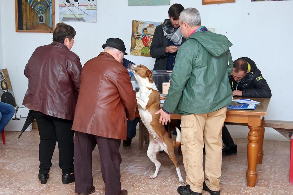 Las imágenes de la jornada electoral del 10N en Galicia.