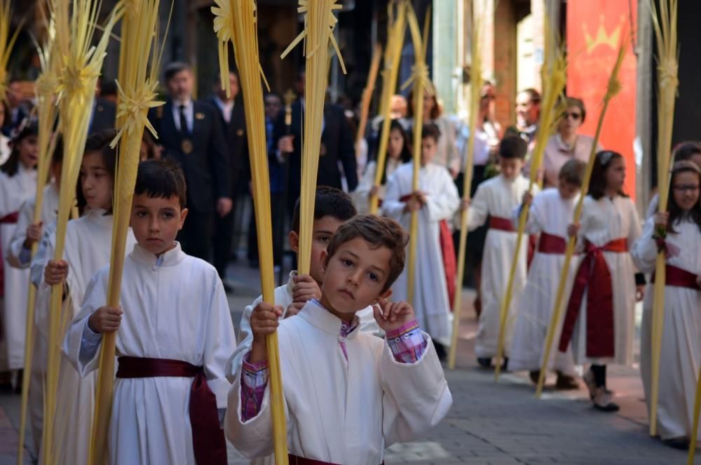 Semana Santa en Benavente: La Borriquita