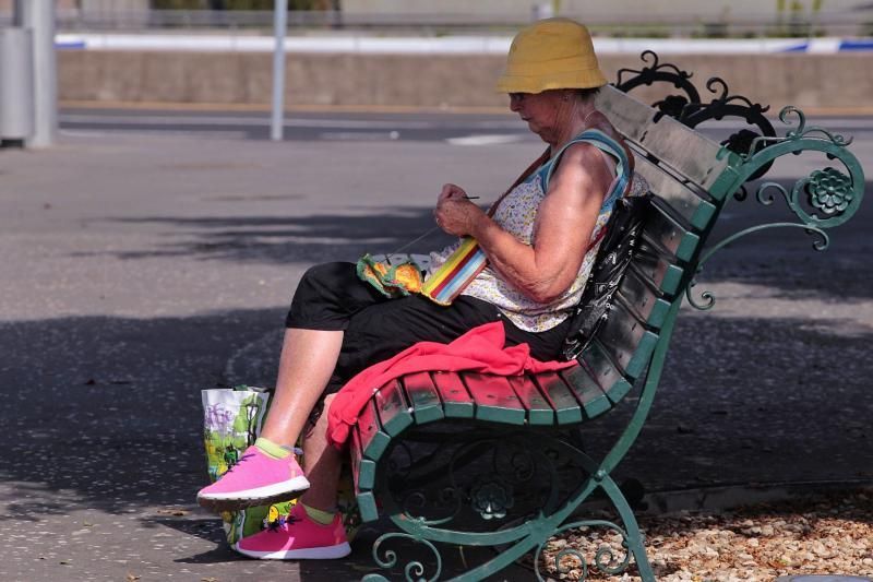 Calor y calima en Tenerife, 30 de enero de 2020