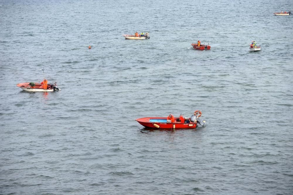 Libre marisqueo bajo el puente de A Illa