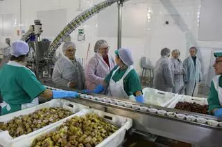 Albo cierra su planta de Tapia, la última de Asturias, y traslada la producción a Pontevedra: "Es una mala noticia para el pueblo"