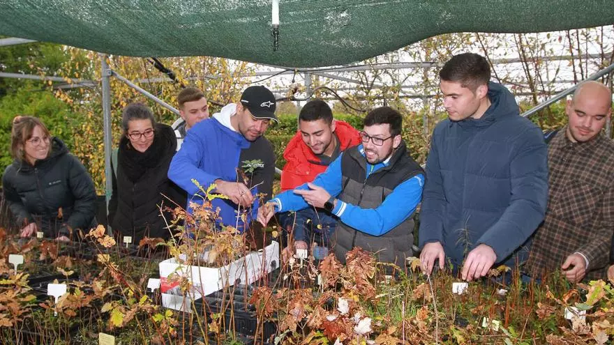 Sembrando futuro: estos estudiantes recuperan el monte desde su propio vivero