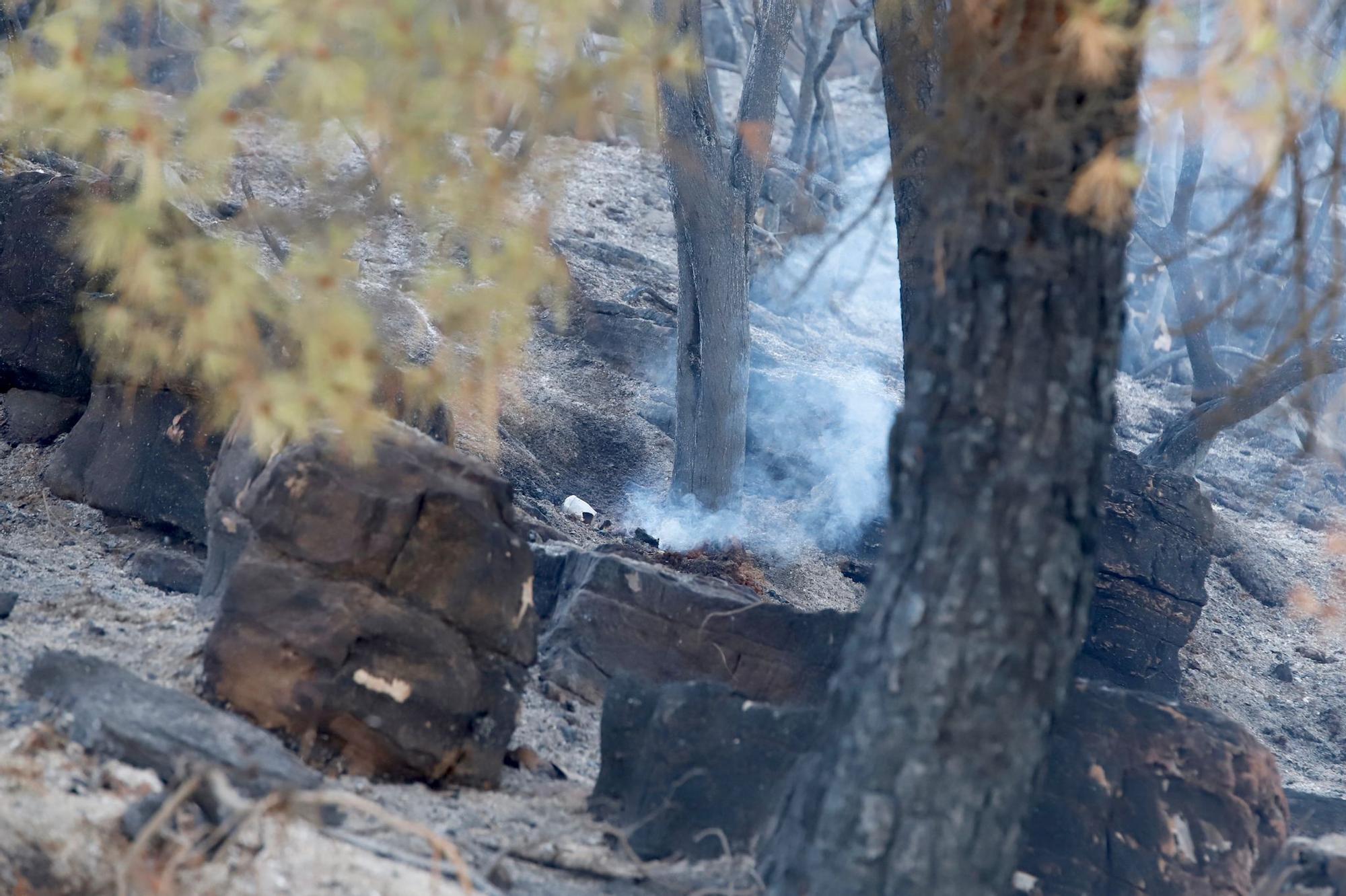 Así ha quedado la "zona cero" del incendio forestal en la sierra de Córdoba