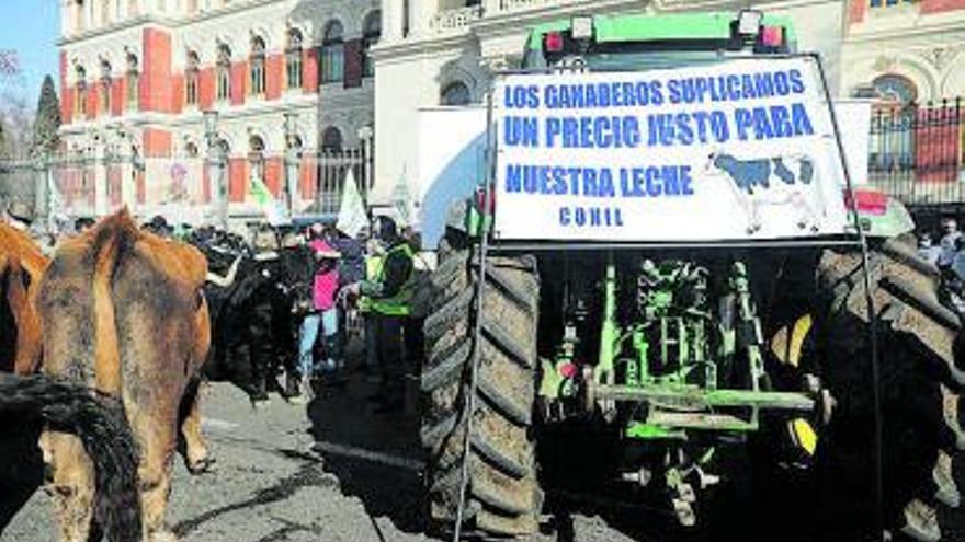 Un momento de la protesta de ayer en Madrid.   | // ISABEL INFANTES