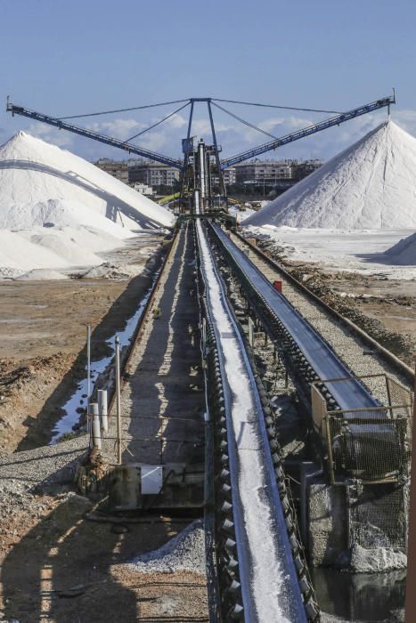 De la laguna de Torrevieja se puede extraer sal durante todo el año haciendo uso de una tecnología minera única