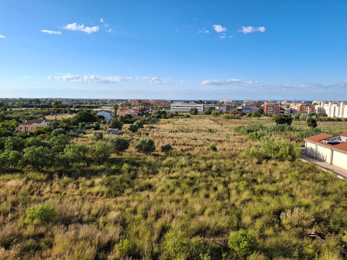 Campos baldíos y retazos de la Dénia agrícola