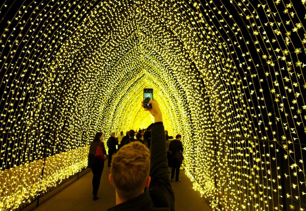 Un visitante del Jardín Botánico de Sidney saca una foto de la ‘Catedral de la luz’ en un preestreno del evento annual de proyecciones e instalaciones de luz por toda la ciudad.