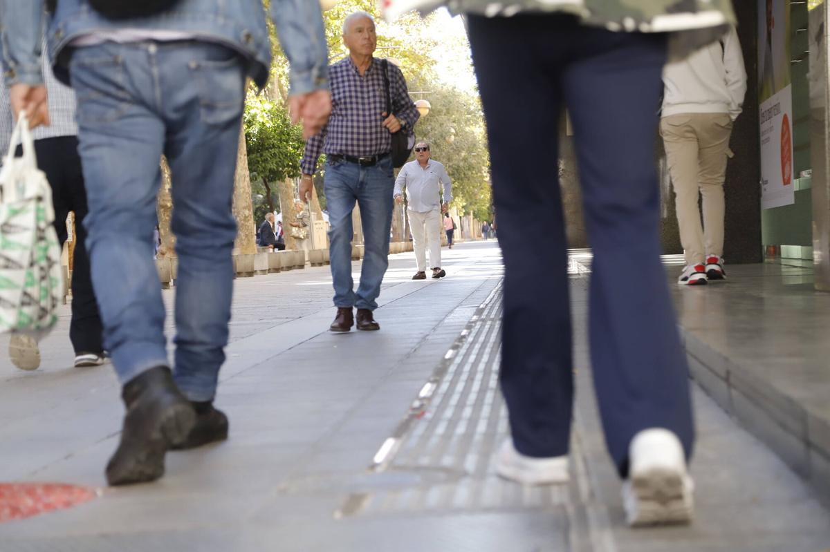 A.J.González Córdoba Ruta Led de Ronda de los Tejares accesibilidad