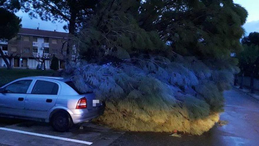 Los fuertes vientos causan abundantes daños materiales en Aragón