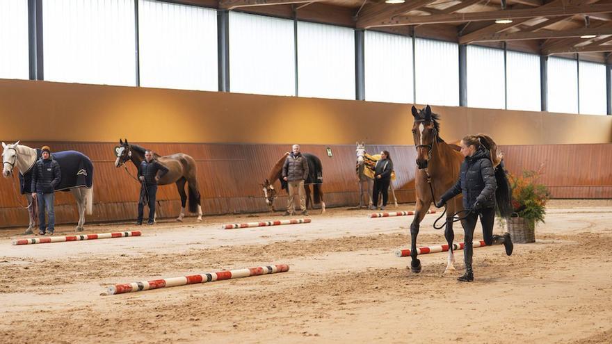 Casas Novas sube el telón Casas Novas sube el telón