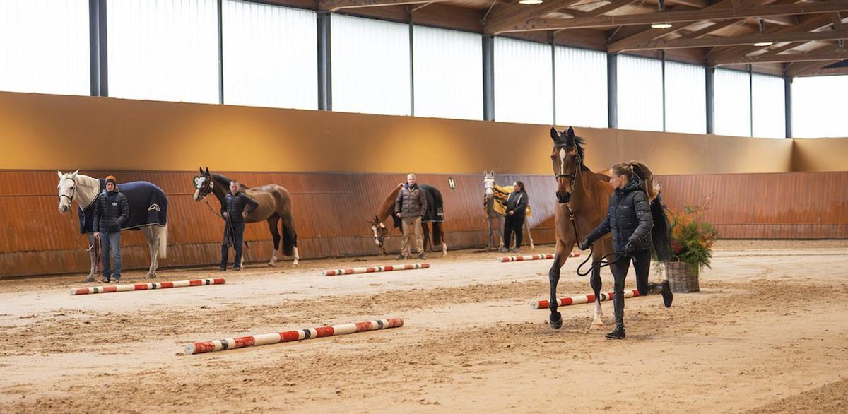 Algunos de los competidores en el día de ayer en Casas Novas. |  OXER Sports