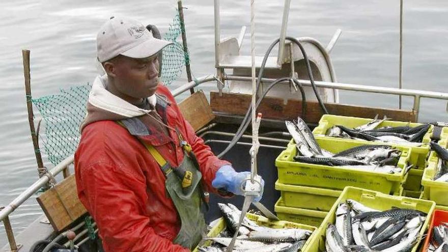 Un trabajador extranjero descarga cajas de pescado en puerto.