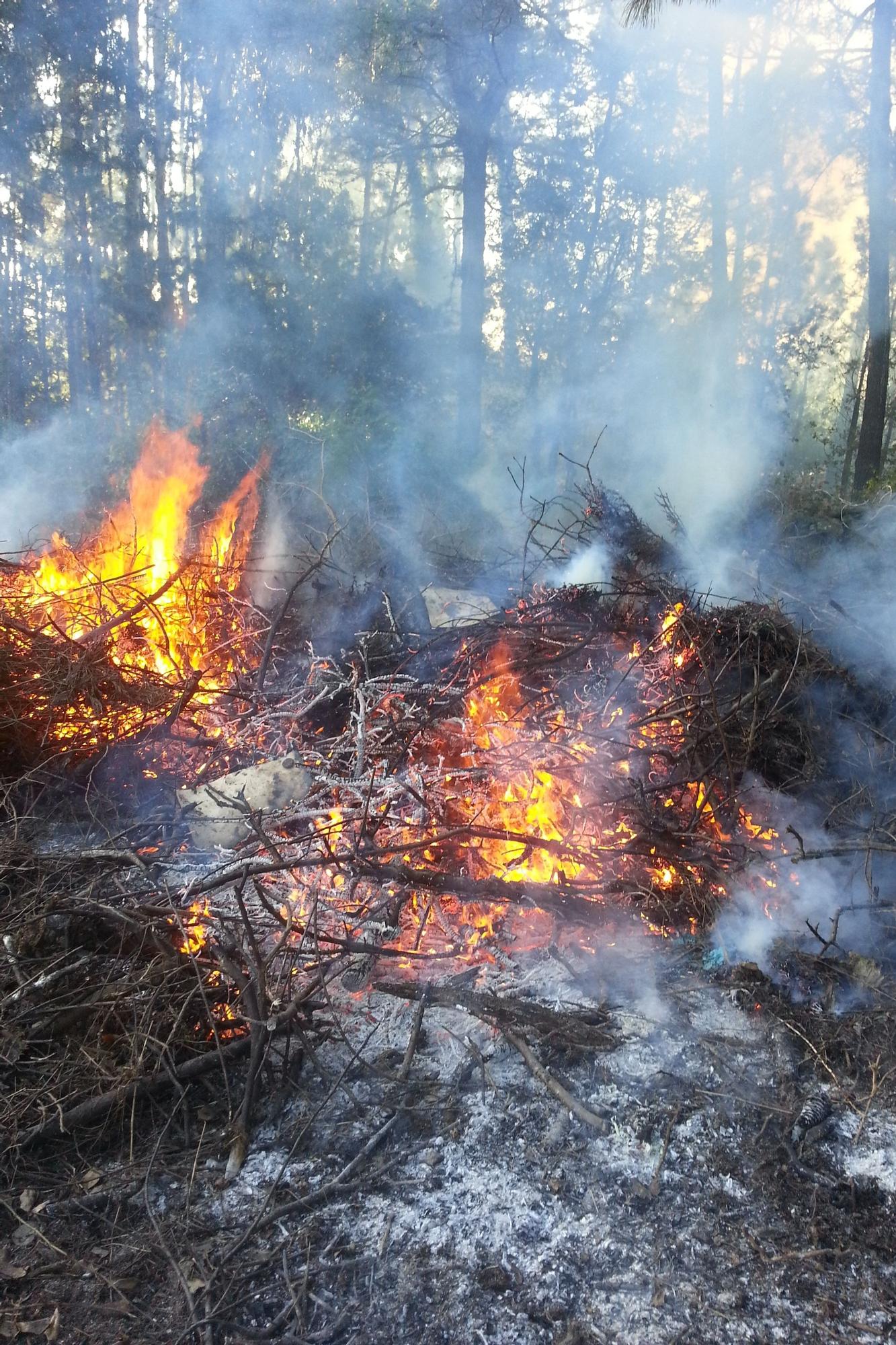 Quema de rastrojos en una zona forestal.