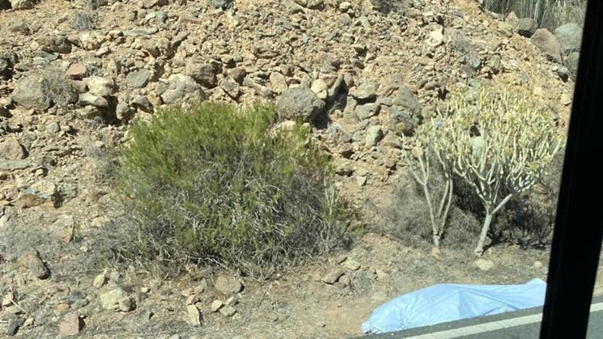 El ciclista fallecido, en el arcén de la carretera tras el siniestro.