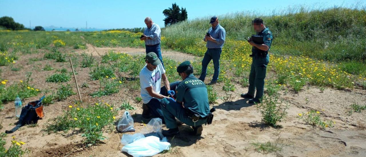 Agentes del Seprona toman muestras ayer en los terrenos próximos a la rambla de Ponce, con el Mar Menor al fondo. | ECOLOGISTAS EN ACCIÓN