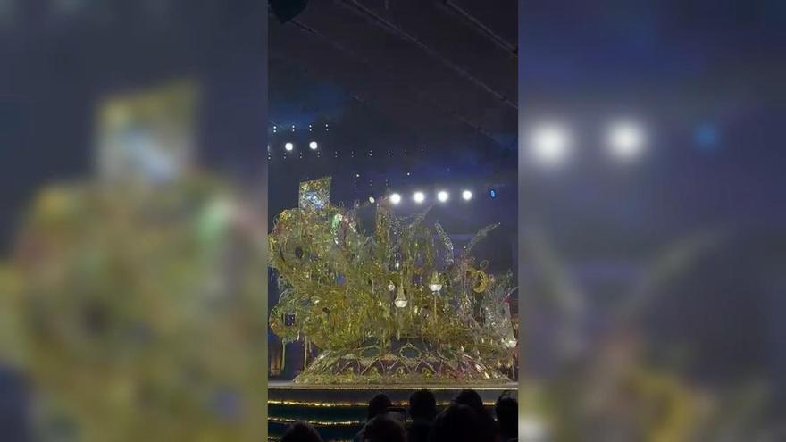 Candidata número seis, Cecilia Esther Díaz